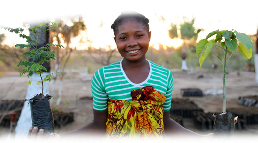 We want to plant more than 1,000,000 trees