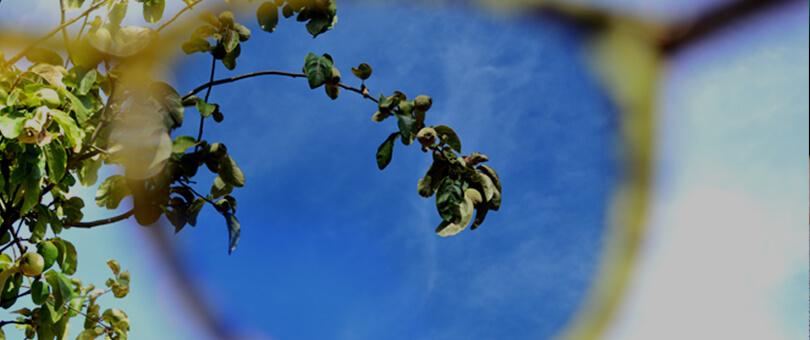 ¿Cómo saber si tus lentes de sol son polarizados o no?