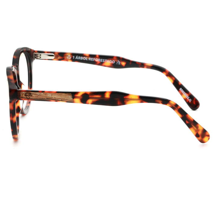Optical frames frames sustainables round acetate with natural wood chiloe 0084 tortoise side mayorista optica corporate gifts ecologicos men cara ovalada Bonoboss #color_carey