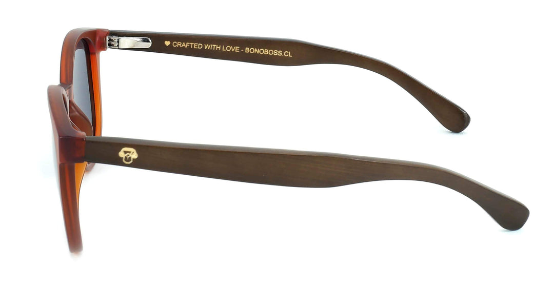 anteojos redondos de plástico reciclado y varillas de madera natural sustentable con lentes de color negro. Polarizadas y forma redonda.