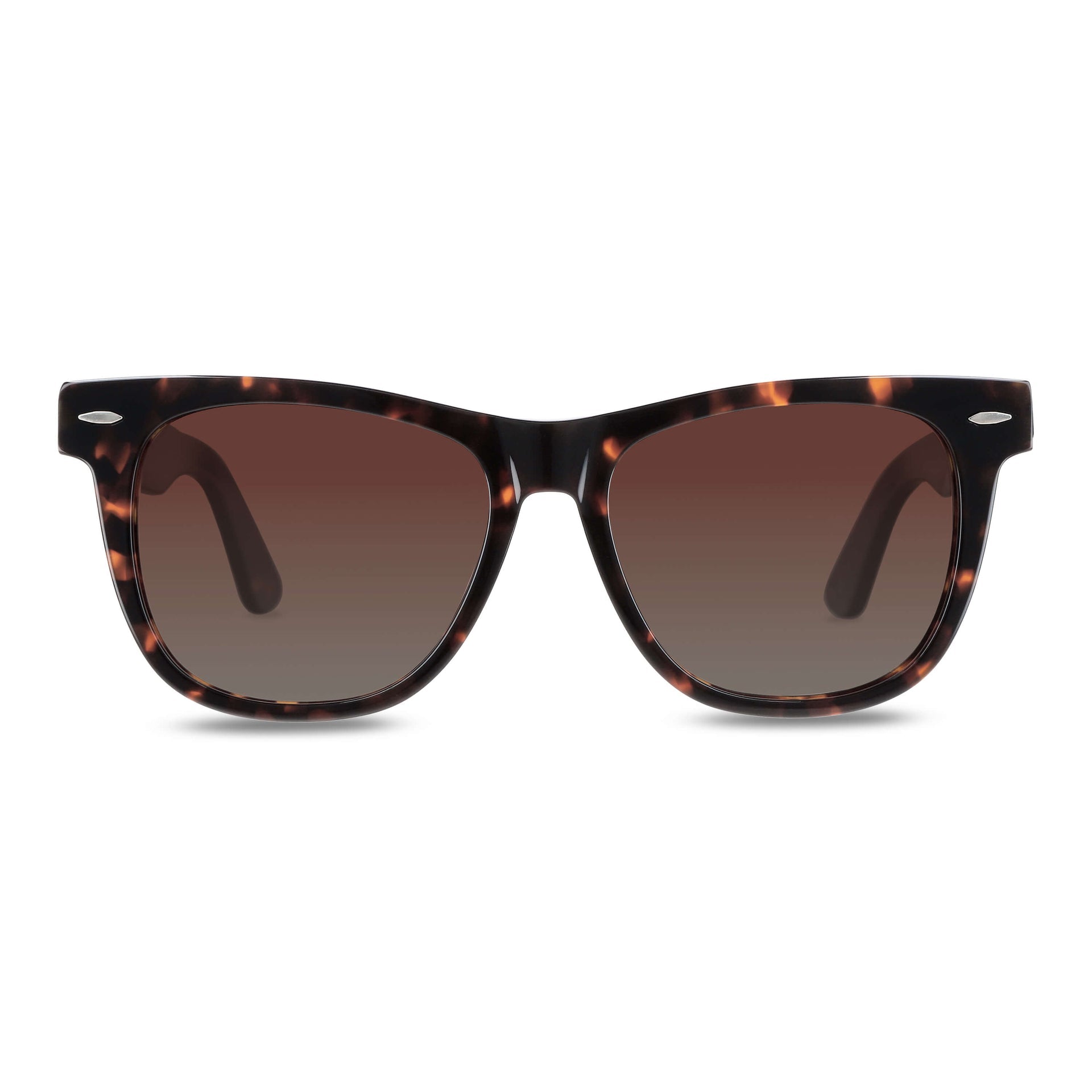 lentes de sol polarizados ovalados hombre y mujer modelo wayfarer de rayban carey café distribuidor mayorista de opticas sustentable reciclado plastico  #color_carey