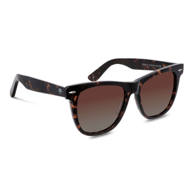 lentes de sol polarizados ovalados hombre y mujer modelo wayfarer de rayban carey café distribuidor mayorista de opticas sustentable reciclado plastico