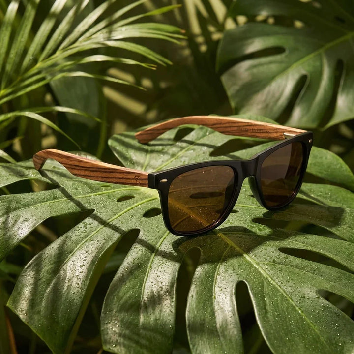 Lenses sun acacia polarized UV400 wood zebrawood forest smoke summer essentials flat lay beach accessories bonoboss #editorial_detail2 #color_forest-smoke