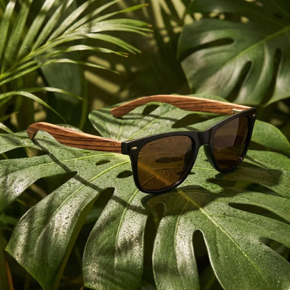 Lentes sol Acacia polarizados UV400 madera zebrano Negro Brown composicion botanica monstera tropical natural Bonoboss #editorial_grid2 #color_negro-brown
