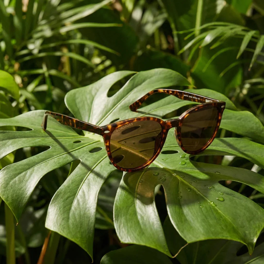 Lenses sun henua polarized bio-acetate tortoise botanical composition monstera tropical biodegradable bonoboss #editorial_grid2 #color_carey