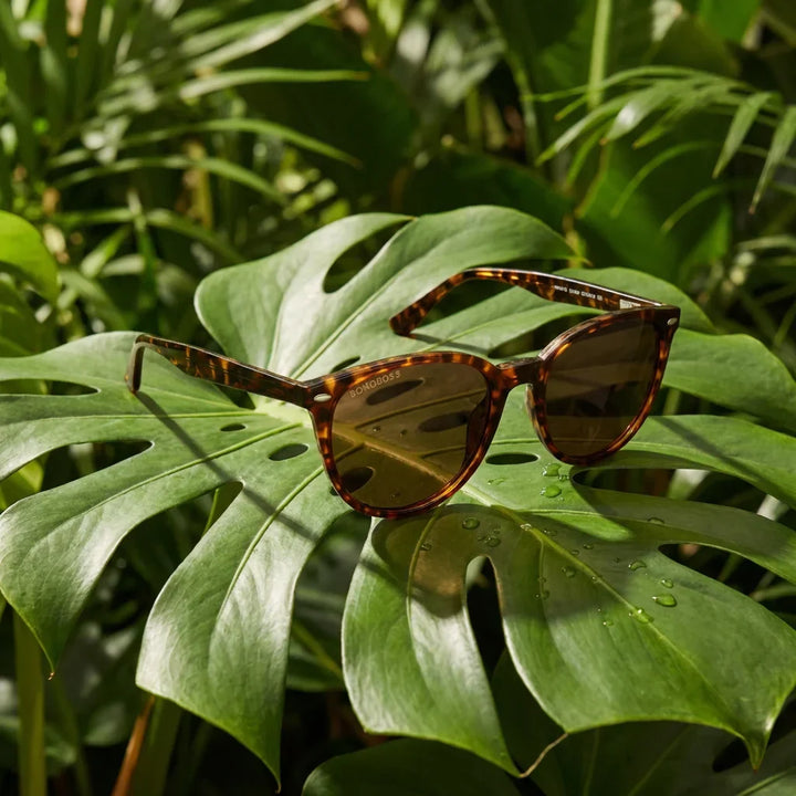 Lenses sun henua polarized bio-acetate tortoise botanical composition monstera tropical biodegradable bonoboss #editorial_grid2 #color_carey