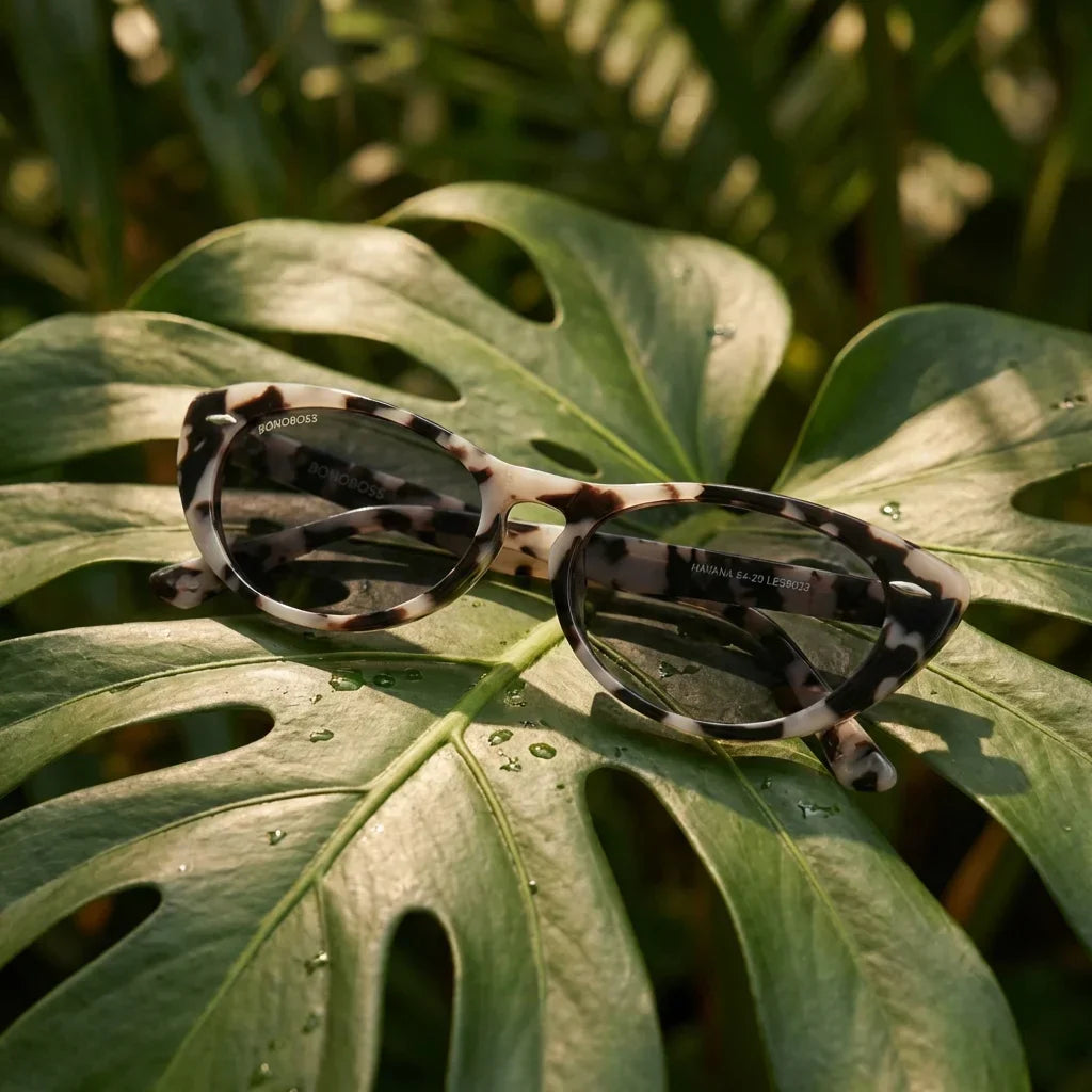 Lenses sun havana polarized bio-acetate marble botanical composition monstera tropical biodegradable bonoboss #editorial_grid2 #color_marble