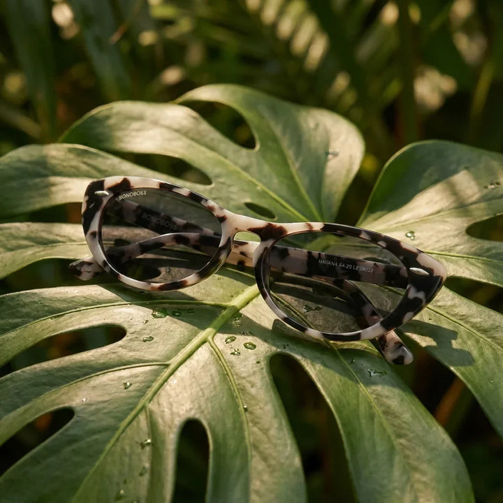 Lenses sun havana polarized bio-acetate marble botanical composition monstera tropical biodegradable bonoboss #editorial_grid2 #color_marble