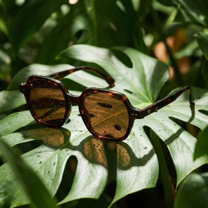 Lenses sun canarias polarized UV400 bio-acetate tortoise botanical composition natural tropical monstera bonoboss #editorial_grid2 #color_carey