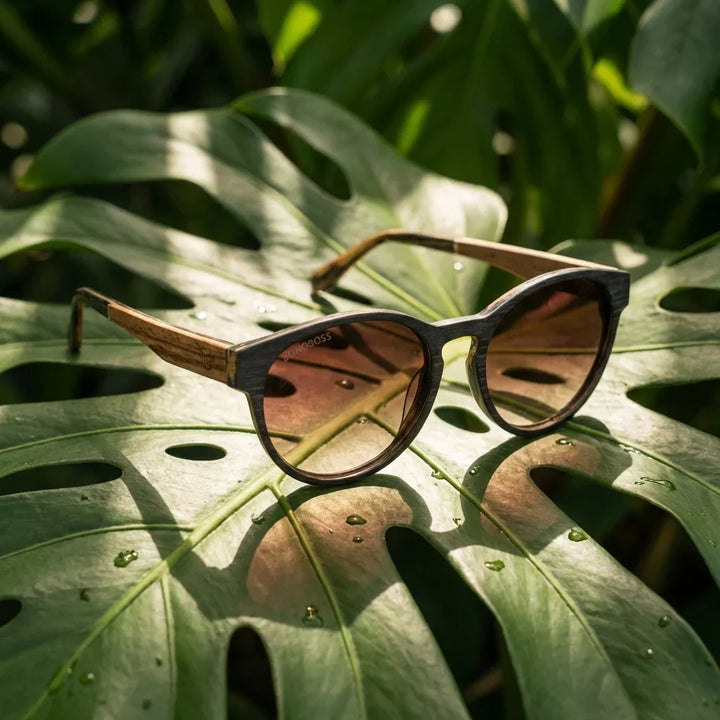 Lenses sun chiloe 110 wood polarized brown botanical composition hoja monstera tropical bonoboss #editorial_grid2 #color_brown