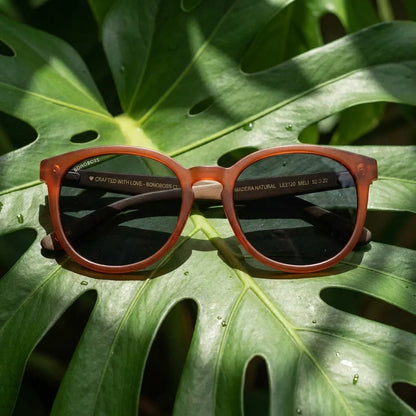 Lentes sol Meli Wine polarizados madera wine polarizado Negro composicion botanica monstera tropical Bonoboss #editorial_grid2 #color_negro
