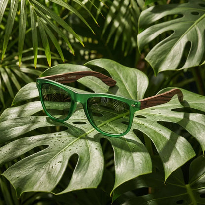 Lentes sol Acacia polarizados UV400 madera zebrano Forest Gradiente Olive composicion botanica monstera tropical natural Bonoboss #editorial_grid2 #color_forest-gradiente-olive