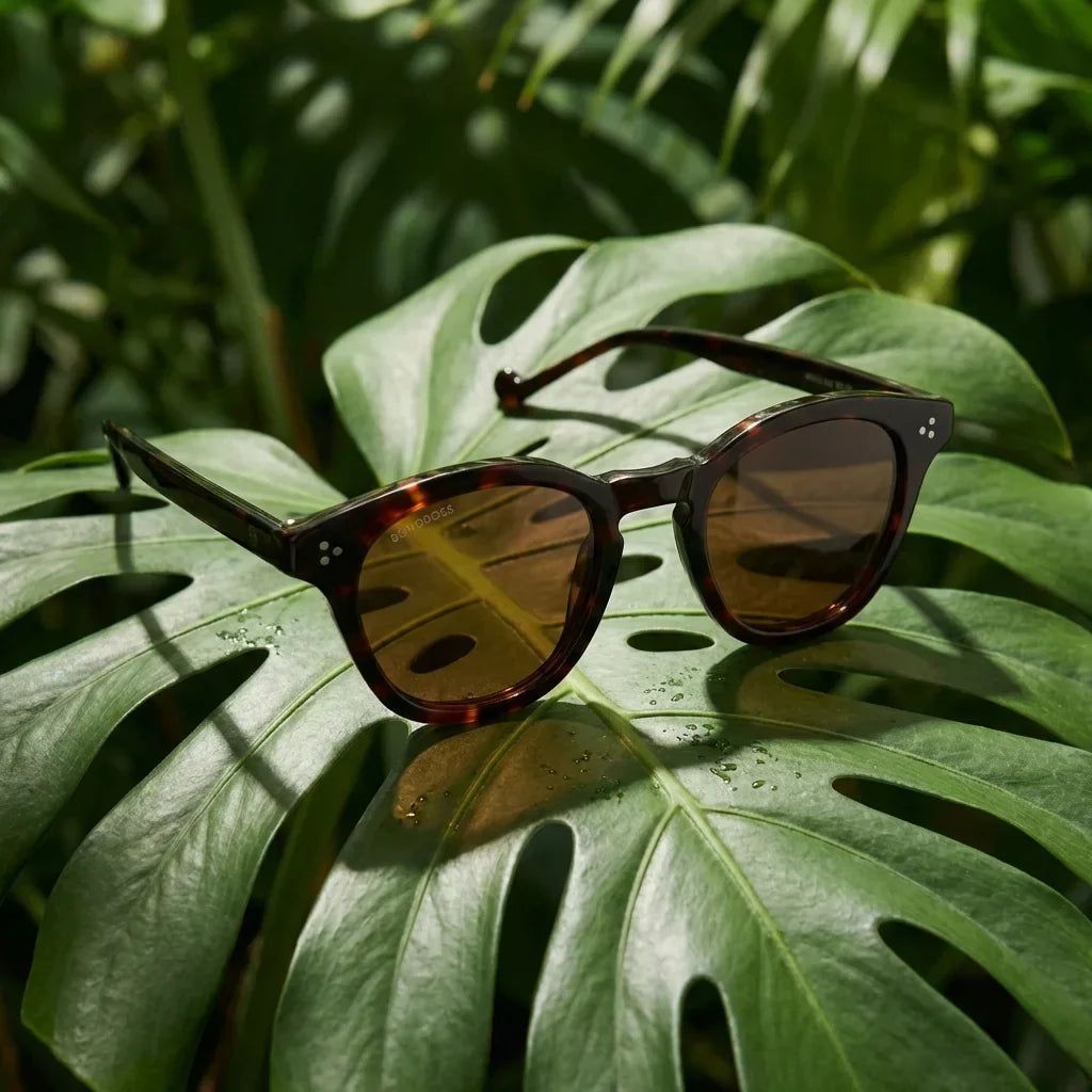 Lentes sol Lenga polarizados UV400 bio-acetato Carey composicion botanica monstera tropical natural Bonoboss #editorial_grid2 #color_carey