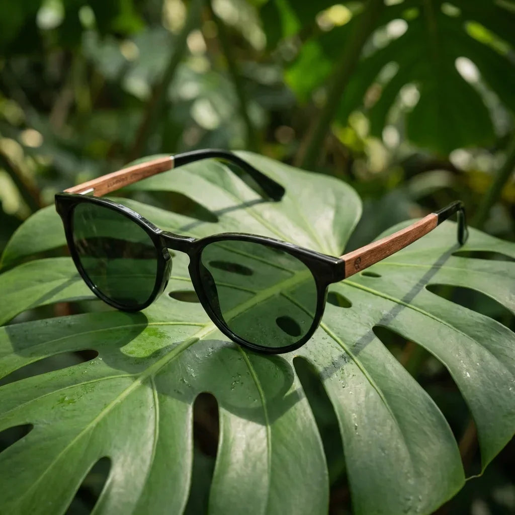 Lentes sol Chiloe 220 Black polarizados G15 composicion botanica hoja monstera tropical Bonoboss #editorial_grid2 #color_g15