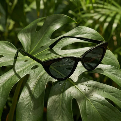 Lentes sol Audrey Red polarizados negro composicion botanica hoja monstera tropical Bonoboss #editorial_grid2 #color_negro