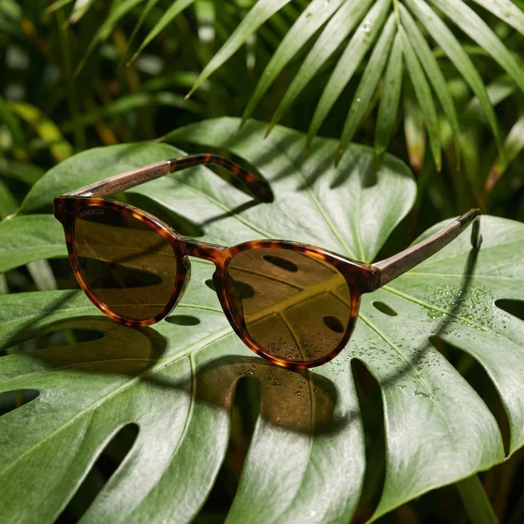 Lentes sol Chiloe 220 Black polarizados carey composicion botanica hoja monstera tropical Bonoboss #editorial_grid2 #color_carey