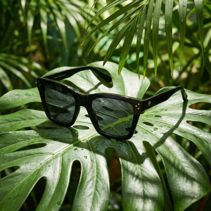 Lenses sun bruna retro polarized polarized black botanical composition hoja monstera tropical bonoboss #editorial_grid2 #color_negro