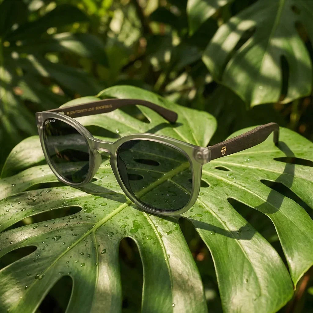 Lentes sol Meli TSP polarizados bio-acetato TSP biodegradable negro sobre hoja monstera botanica tropical Bonoboss #editorial_grid2 #color_negro