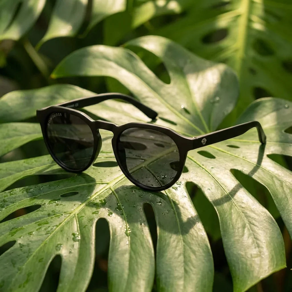 Lentes sol Galapagos polarizados acetato madera negro smoke composicion botanica hoja monstera tropical Bonoboss #editorial_grid2 #color_negro-smoke