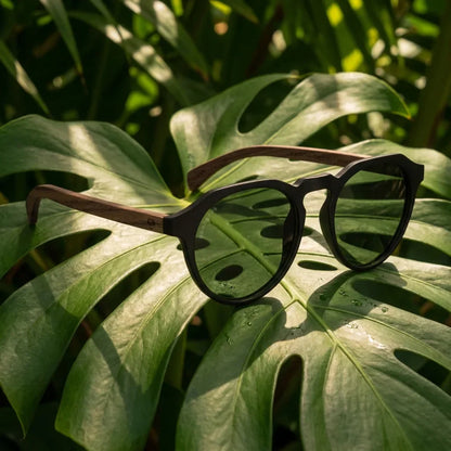 Lentes sol Galapagos polarizados acetato madera negro G15 composicion botanica hoja monstera tropical Bonoboss #editorial_grid2 #color_negro-g15
