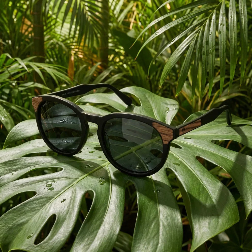 Lenses sun chiloe 0084 polarized bio-acetate black botanical composition monstera tropical biodegradable bonoboss #editorial_grid2 #color_negro