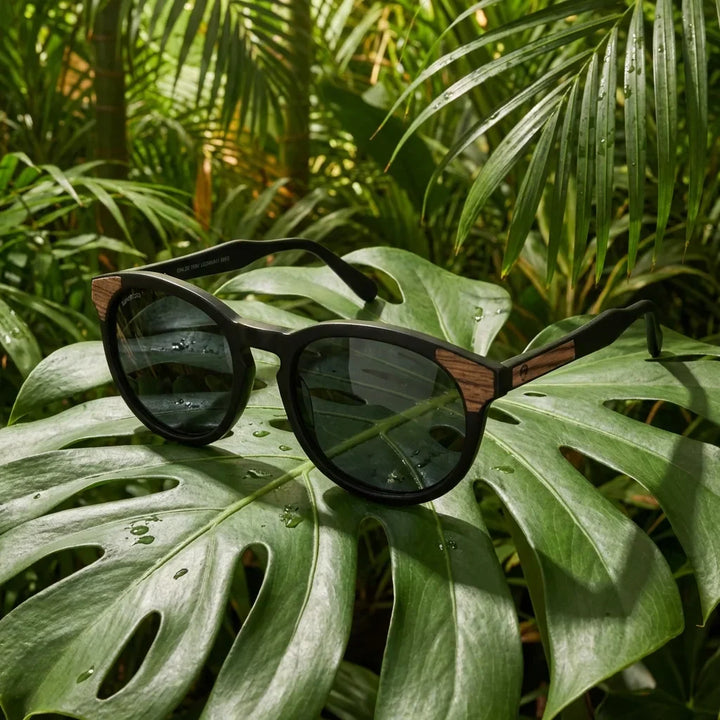 Lenses sun chiloe 0084 polarized bio-acetate black botanical composition monstera tropical biodegradable bonoboss #editorial_grid2 #color_negro