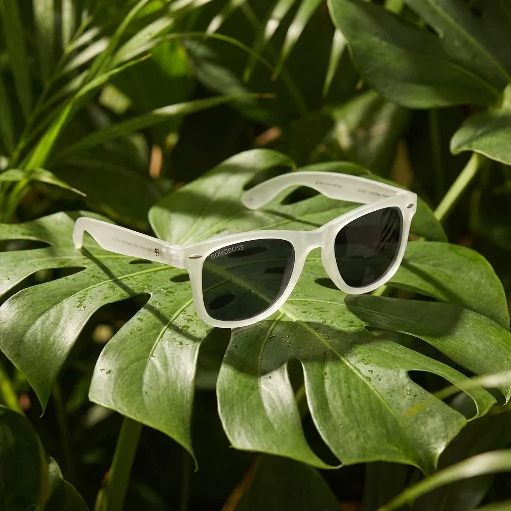 Lentes sol Acacio rPET polarizados RPET reciclado transparente composicion botanica hoja monstera tropical Bonoboss #editorial_grid2 #color_transparente