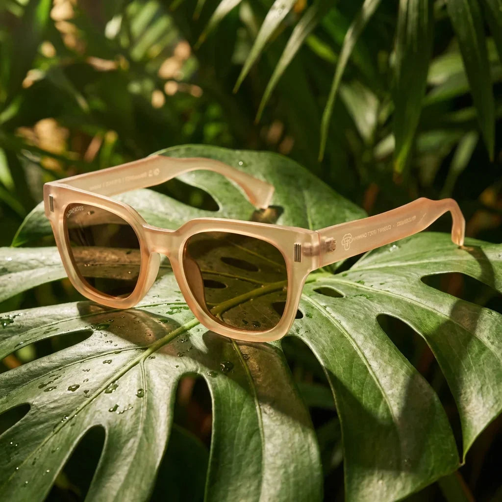 Lentes sol Osorno RPET polarizados reciclado champagne composicion botanica monstera tropical sustentable Bonoboss #editorial_grid2 #color_champagne