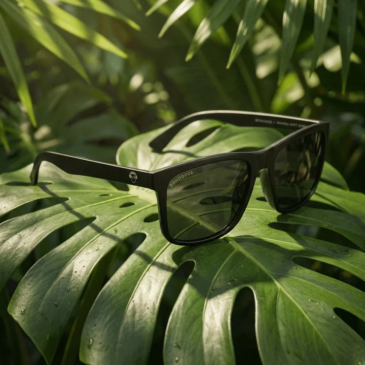Lenses sun rapanui rpet polarized rpet recycled biodegradable dark botanical composition monstera tropical bonoboss #editorial_grid2 #color_dark