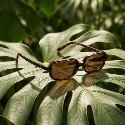 Lentes sol Navarino polarizados bio-acetato carey composicion botanica monstera tropical biodegradable Bonoboss #editorial_grid2 #color_carey