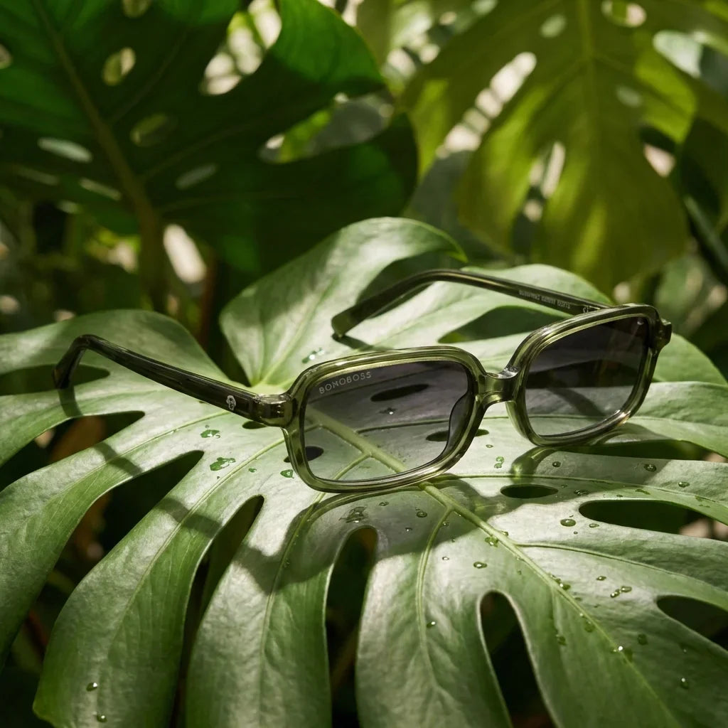 Lentes sol Navarino polarizados bio-acetato verde composicion botanica monstera tropical biodegradable Bonoboss #editorial_grid2 #color_verde