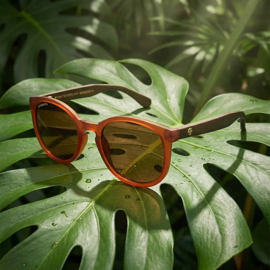 Lentes sol Meli Wine polarizados madera wine polarizado Brown composicion botanica monstera tropical Bonoboss #editorial_grid2 #color_brown