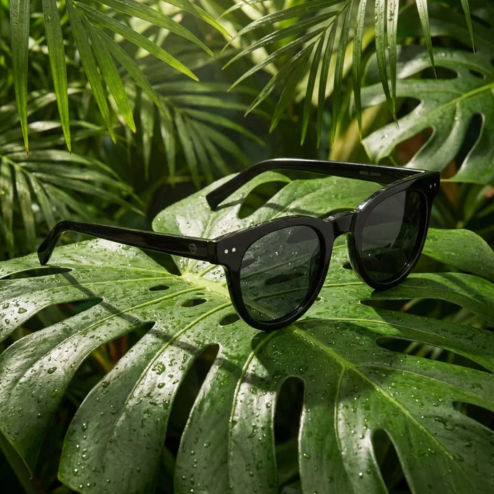 Lenses sun meli polarized UV400 bio-acetate black sobre roca volcanica textura natural contraste bonoboss #editorial_grid1 #color_negro