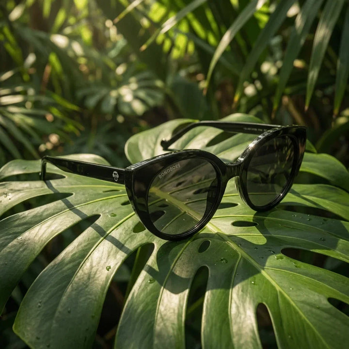 Lenses sun hannover polarized bio-acetate black botanical composition monstera tropical biodegradable bonoboss #editorial_grid2 #color_negro