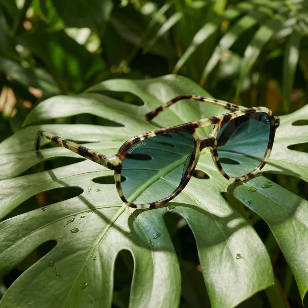 Lenses sun orson e.d polarized bio-acetate green botanical composition monstera tropical biodegradable bonoboss #editorial_grid2 #color_verde