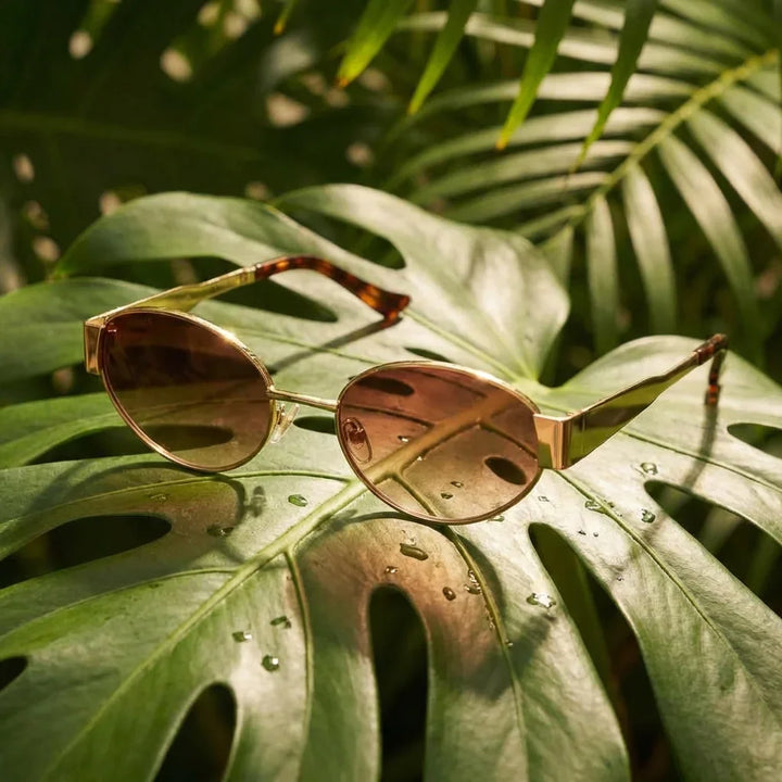 Lenses sun new lennon polarized bio-acetate brown botanical composition monstera tropical biodegradable bonoboss #editorial_grid2 #color_brown