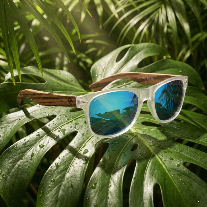 Lenses sun acacia polarized UV400 wood zebrawood clear mirrored blue botanical composition natural tropical monstera bonoboss #editorial_grid2 #color_transparente-espejado-azul