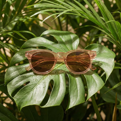 Lentes sol Meli polarizados bio-acetato lightsalmon composicion botanica monstera tropical biodegradable Bonoboss #editorial_grid2 #color_lightsalmon
