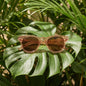 Lentes sol Meli polarizados bio-acetato lightsalmon composicion botanica monstera tropical biodegradable Bonoboss #editorial_grid2 #color_lightsalmon