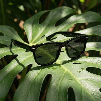 Lentes sol Acacia XL Vintage Sol Polarizado polarizados negro composicion botanica hoja monstera tropical Bonoboss #editorial_grid2 #color_negro