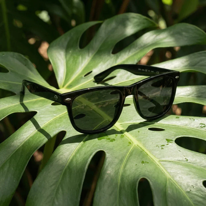 Lenses sun acacia xl vintage sun polarized polarized black botanical composition hoja monstera tropical bonoboss #editorial_grid2 #color_negro