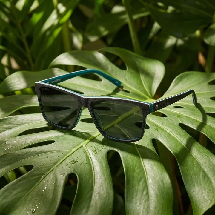 Lenses sun keule polarized wood darkblue botanical composition monstera tropical biodegradable bonoboss #editorial_grid2 #color_darkblue