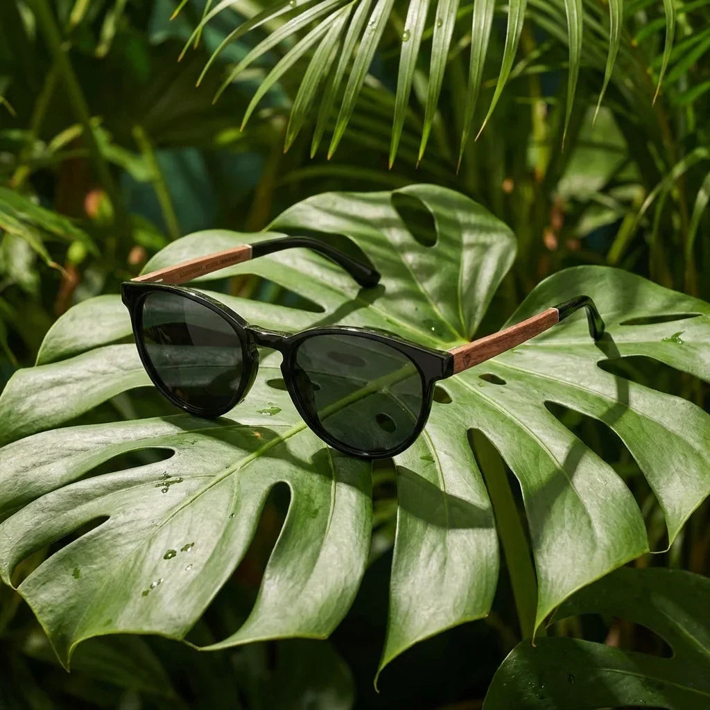 Lentes sol Chiloe 220 Black polarizados black composicion botanica hoja monstera tropical Bonoboss #editorial_grid2 #color_black
