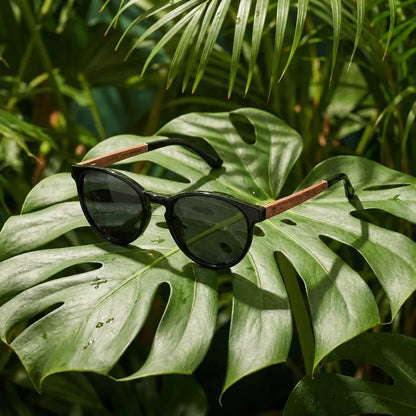 Lentes sol Chiloe 220 Black polarizados black composicion botanica hoja monstera tropical Bonoboss #editorial_grid2 #color_black