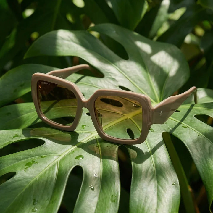 Lenses sun alaska polarized brown botanical composition hoja monstera tropical bonoboss #editorial_grid2 #color_brown