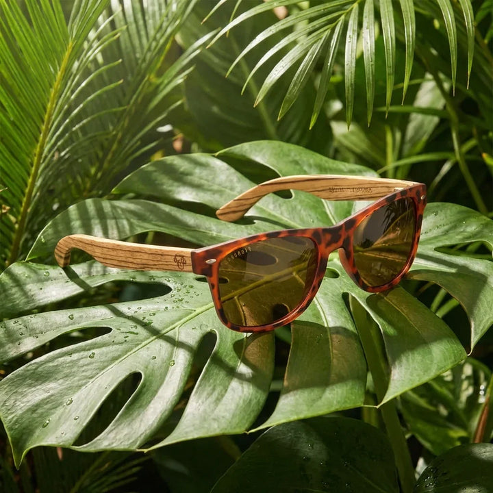 Lenses sun acacia polarized UV400 wood zebrawood tortoise brown botanical composition natural tropical monstera bonoboss #editorial_grid2 #color_carey-brown