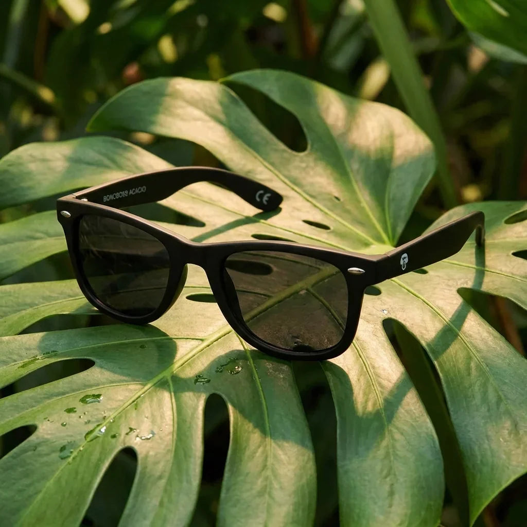 Lenses sun acacio rpet polarized rpet recycled black botanical composition hoja monstera tropical bonoboss #editorial_grid2 #color_negro