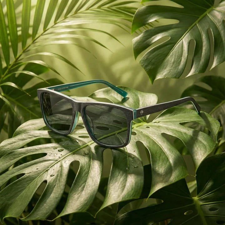 Lenses sun keule xl polarized wood darkblue botanical composition monstera tropical biodegradable bonoboss #editorial_grid2 #color_darkblue