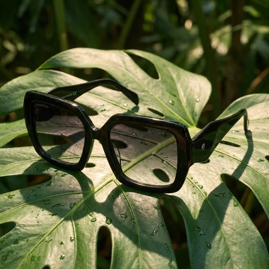 Lenses sun alaska polarized black botanical composition hoja monstera tropical bonoboss #editorial_grid2 #color_negro
