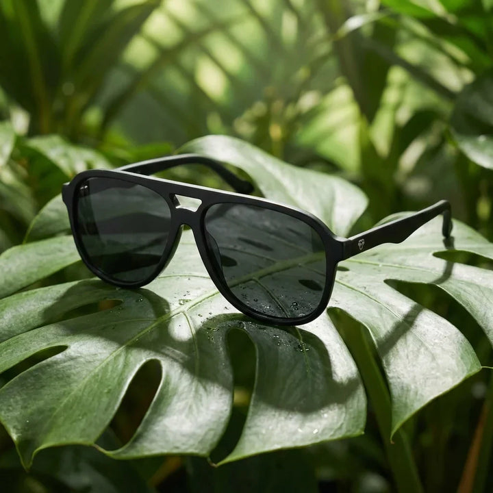 Lenses sun orson polarized bio-acetate biodegradable black sobre hoja monstera botanica tropical bonoboss #editorial_grid2 #color_negro